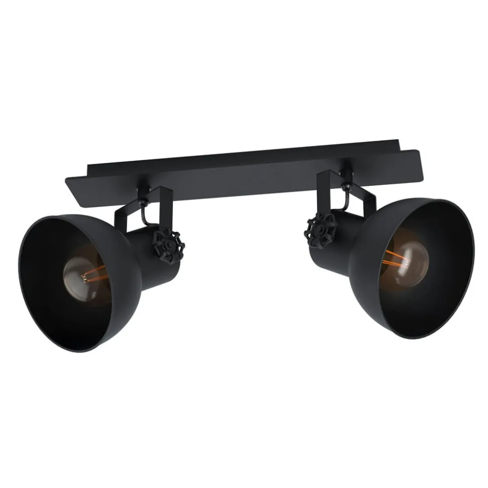 Plafondspot Barnstaple, zwart, 2-lamps