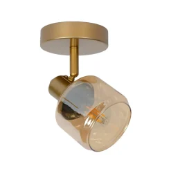 Plafondspot Bjorn, 1-lamp, goud/messing