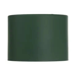 Plafondspot Chloe vast, groen