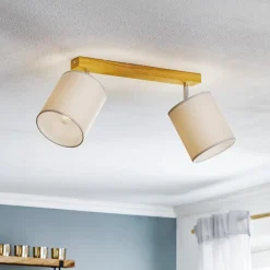 Plafondspot Corralee, grijs, 2-lamps