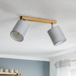 Plafondspot Corralee, grijs, 2-lamps