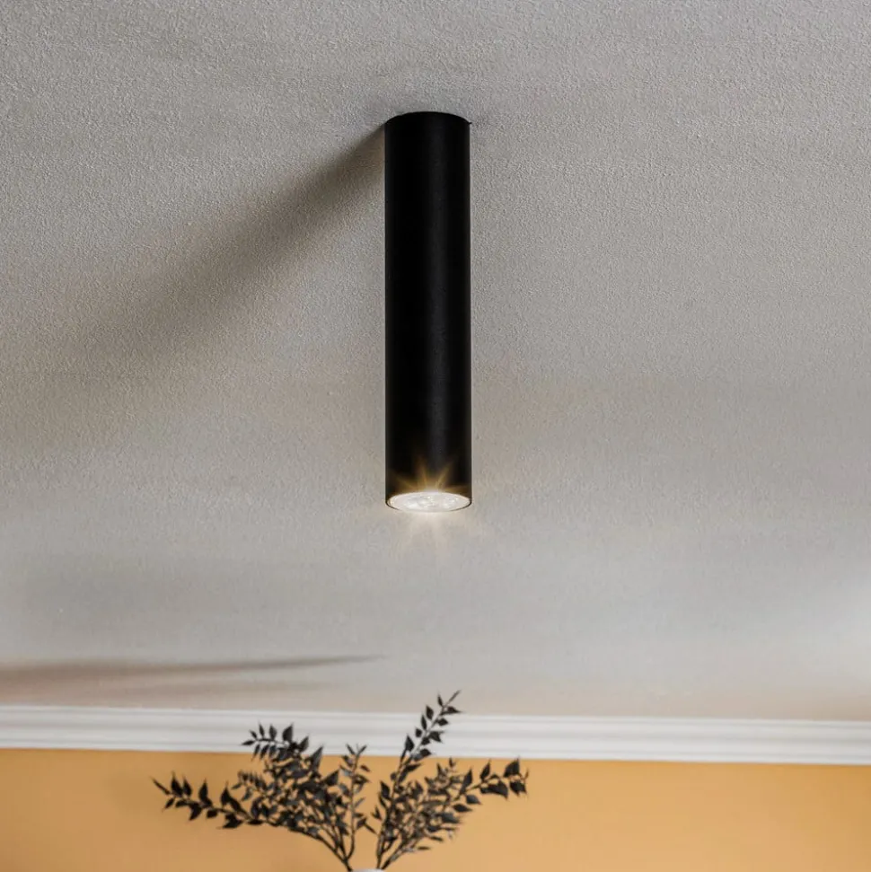 Plafondspot Eye, hoogte 25 cm, zwart