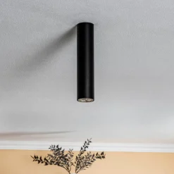 Plafondspot Eye, hoogte 25 cm, zwart