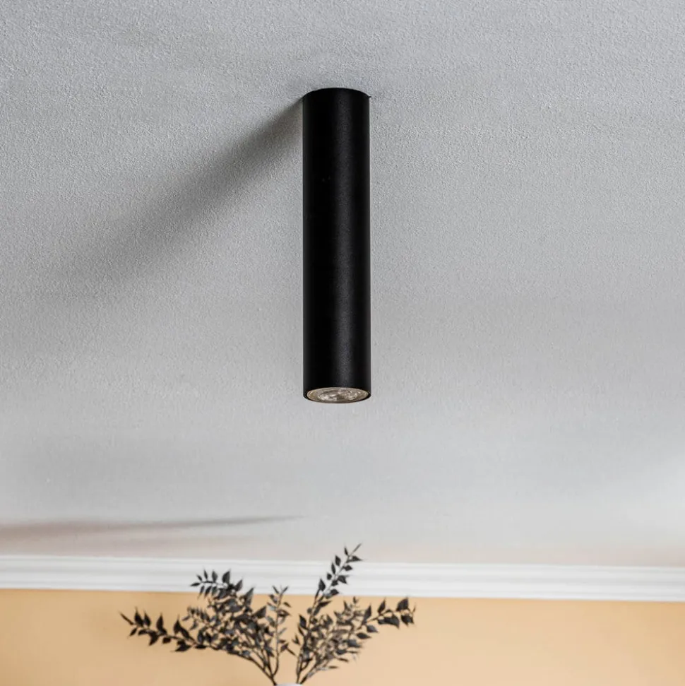 Plafondspot Eye, hoogte 25 cm, zwart