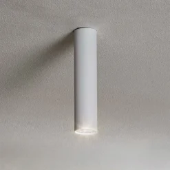 Plafondspot Eye, hoogte 25 cm, wit