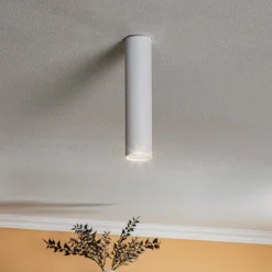 Plafondspot Eye, hoogte 25 cm, wit