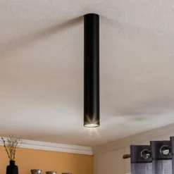 Plafondspot Eye, hoogte 40 cm, zwart