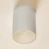 Plafondspot Eye Tone in cilindervorm wit
