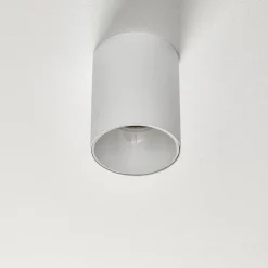 Plafondspot Eye Tone in cilindervorm wit