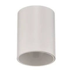 Plafondspot Eye Tone in cilindervorm wit