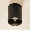 Plafondspot Eye Tone in cilindervorm zwart
