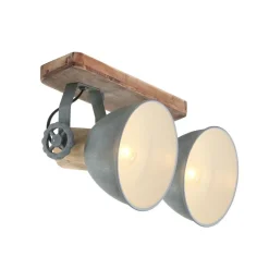 Plafondspot Gearwood, 2-lamps, grijs