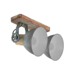 Plafondspot Gearwood, 2-lamps, grijs