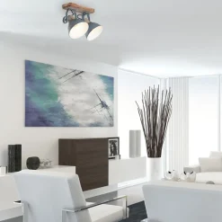 Plafondspot Gearwood, 2-lamps, grijs
