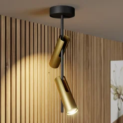 Plafondspot Leda 2, 2-lamps, zwart-goud