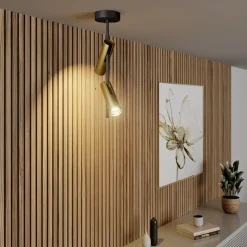 Plafondspot Leda 2, 2-lamps, zwart-goud