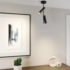 Plafondspot Leda 2, 2-lamps, zwart