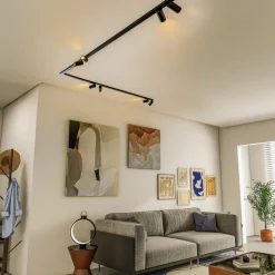 Plafondspot Mono Corner VIII zwart 2x200cm