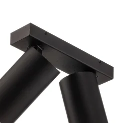 Plafondspot Mono II zwart/binnen goud 2-lamps