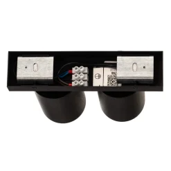 Plafondspot Mono II zwart/binnen goud 2-lamps