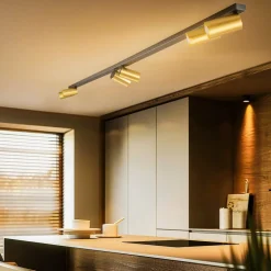 Plafondspot Mono VI zwart/messing 6-lamps