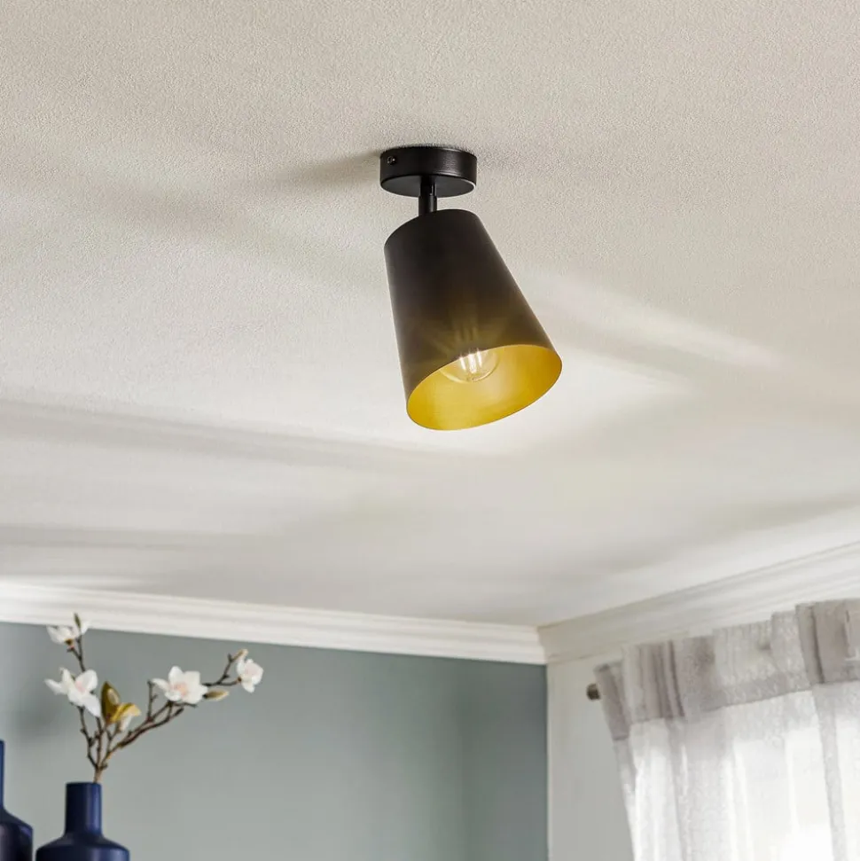 Plafondspot Prism, 1-lamp, zwart/goud