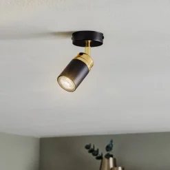 Plafondspot Reno, 1-lamp, zwart/goud