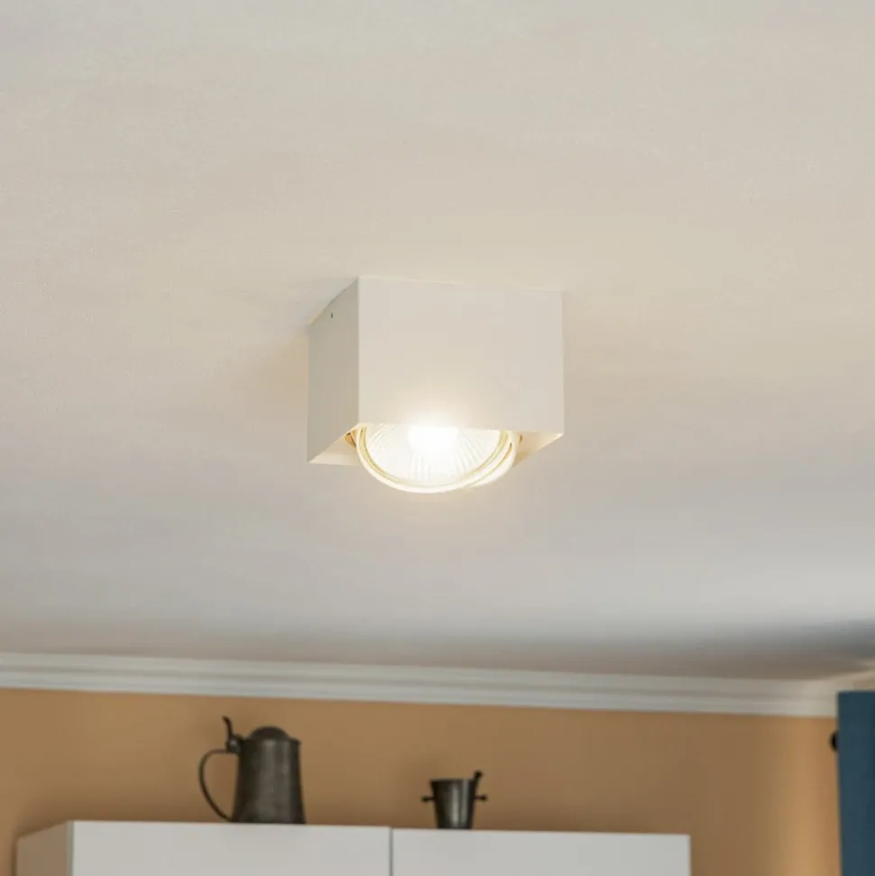 Plafondspot Ronda, 1-lamp, wit