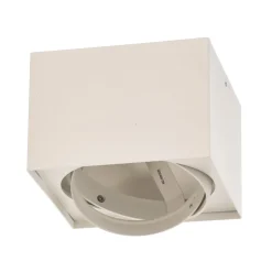 Plafondspot Ronda, 1-lamp, wit