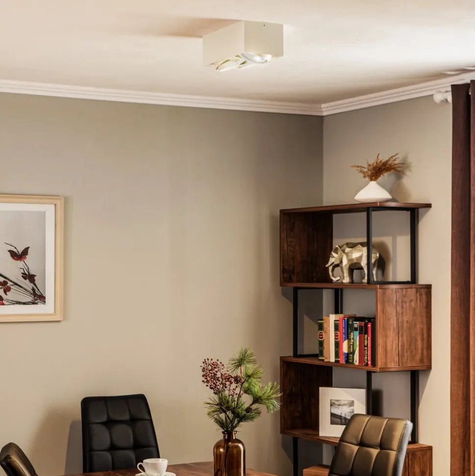 Plafondspot Ronda, 2-lamps, wit