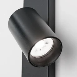 Plafondspot Sean 4-lamps, zwart