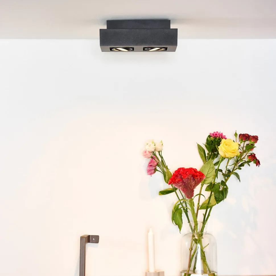 Plafondspot Xirax, 2-lamps, zwart