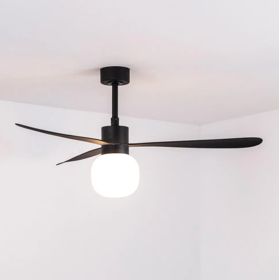 Plafondventilator Amelia Ball LED lamp zwart