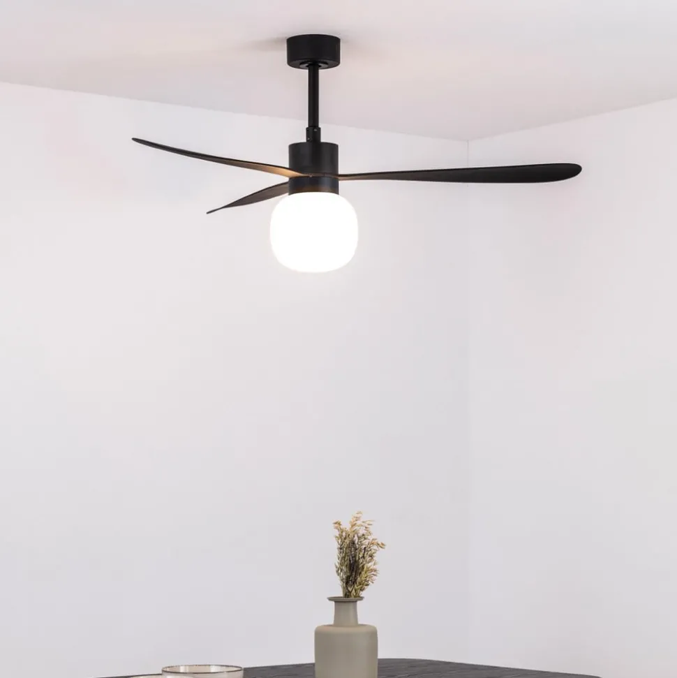 Plafondventilator Amelia Ball LED lamp zwart