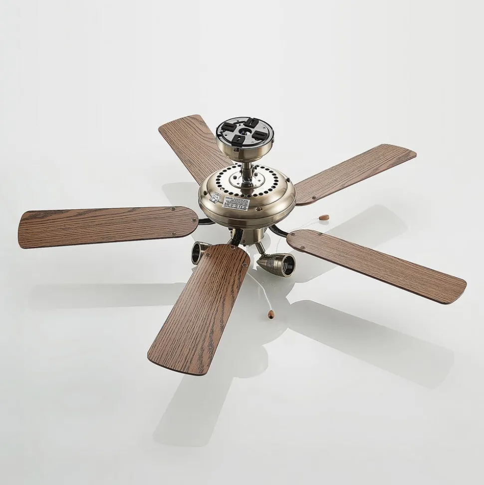 Plafondventilator Lucande met verlichting Anariki, stil, messing