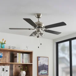 Plafondventilator met licht Anariki, stil, zilver