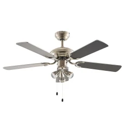 Plafondventilator met licht Anariki, stil, zilver