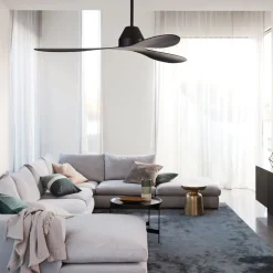 Plafondventilator Whitehaven zwart geruisloos 142 cm