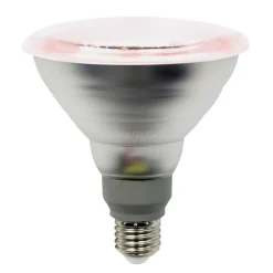 Planten lamp E27 PAR38 12W 50° stralingshoek