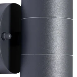 Prios buitenwandlamp Tulimar, 2-lamps, antraciet, metaal