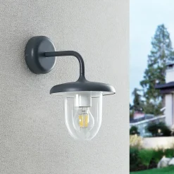 Prios Larkumi buitenwandlamp met E27 fitting