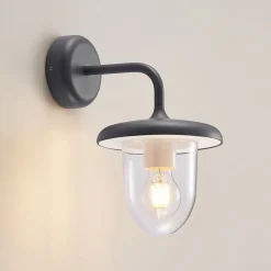 Prios Larkumi buitenwandlamp met E27 fitting