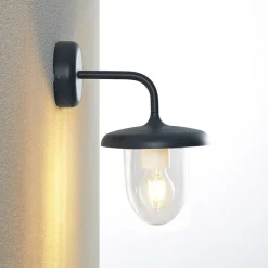 Prios Larkumi buitenwandlamp met E27 fitting
