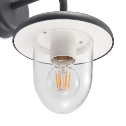 Prios Larkumi buitenwandlamp met E27 fitting