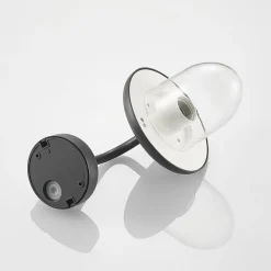 Prios Larkumi buitenwandlamp met E27 fitting