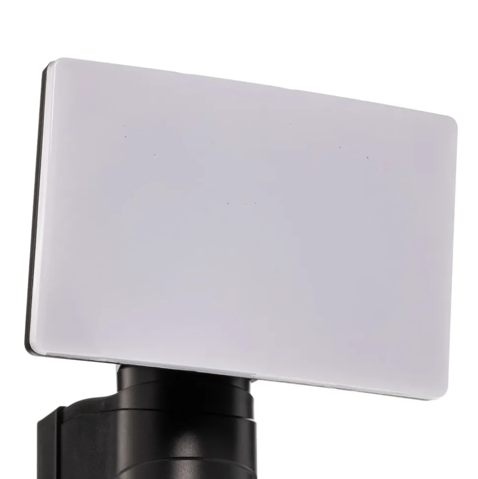 Prios LED buitenwandspot Avayah, bewegingsmelder, IP44