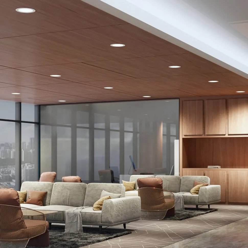 Prios LED inbouwspot Rida, wit. Ø 23 cm, 30W, CCT, IP44