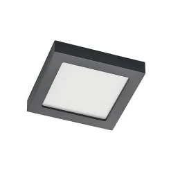 Prios LED plafondlamp Alette, zwart, 18 W, CCT, dimbaar