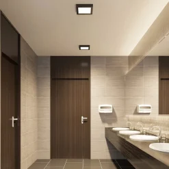 Prios LED plafondlamp Alette, zwart, 24 W, CCT, dimbaar