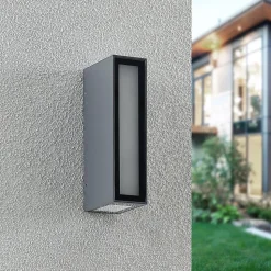 Prios Loriava LED buitenwandlamp in donkergrijs